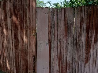 Продаю зем участок с плодоносящим садом фото 2 Красноярск