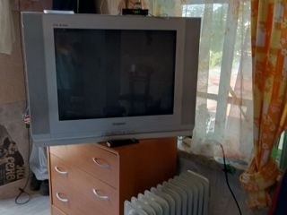 Продаю зем участок с плодоносящим садом фото 23 Красноярск