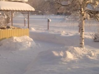 Продается деревянный дом подключена канализация взрослый собственник фото 27 Деревня Игнатьево