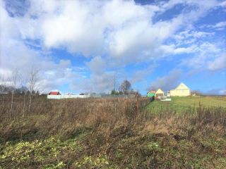 Продается земельный участок фото 7 Данилково Деревня