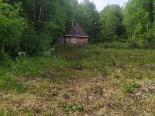 Продаю участок земли экологически чистый район в садовом некоммерческом товариществе фото Дедовец Деревня