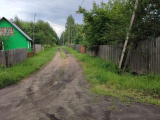 Продаю участок земли экологически чистый район в садовом некоммерческом товариществе фото 5 Дедовец Деревня