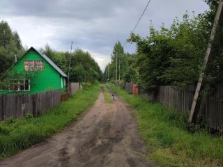 Продаю участок земли экологически чистый район в садовом некоммерческом товариществе фото 6 Дедовец Деревня