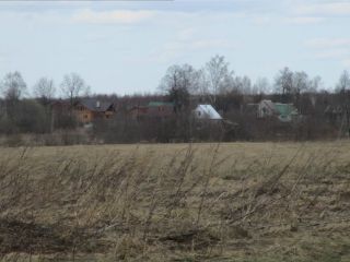 Продам земельный участок под личное подсобное хозяйство фото Бортниково