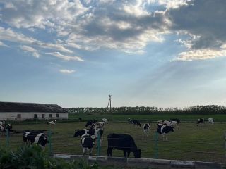 Продам участок земли фото Краснодар