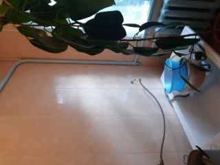 Продам деревянный дом имеются хозяйственные постройки асфальтная дорога фото 9 Ессентуки