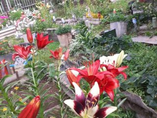 Продам деревянный дом имеется баня подключена канализация фото 16 Златоуст