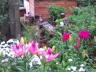 Продам деревянный дом имеется баня подключена канализация фото 17 Златоуст