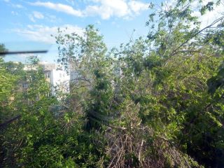 Продается комната фото 8 Оренбург