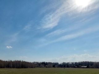 Продаю земельный участок фото 2 Руза