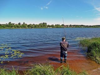 Продаю участок земли под индивидуальное жилищное строительство фото 2 Сенькино