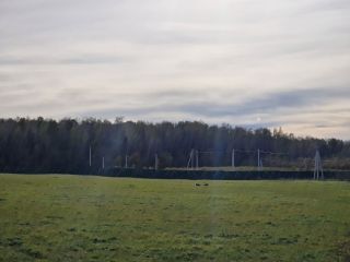 Продам земельный участок под индивидуальное жилищное строительство фото 8 Боровск