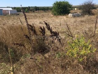 Продаю зем участок рядом асфальт фото 3 Село Оленевка