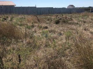 Продаю зем участок рядом асфальт фото 4 Село Оленевка