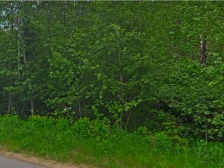 Продам участок земли асфальтная дорога фото 2 Мельгуново