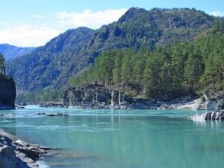 Продается участок земли удобное расположение под личное подсобное хозяйство фото Барнаул