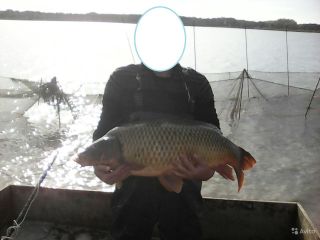 Продаю зем участок фото 3 Георгиевск