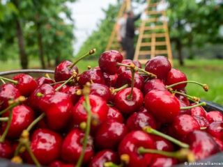 Продаю участок земли готовый имеется скважина фото Анапа