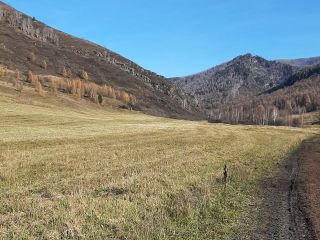 Продам земельный участок рядом река рядом асфальт фото 26 Ильинка