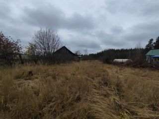 Продам деревянный дом круглогодичный подъезд под личное подсобное хозяйство фото 21 Шатура