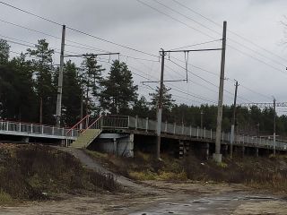 Продам деревянный дом круглогодичный подъезд под личное подсобное хозяйство фото 23 Шатура