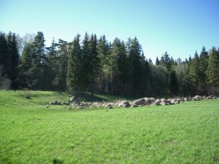 Продаю зем участок асфальтная дорога в садовом некоммерческом товариществе фото Д. Горки, Лопухинское сельское поселение