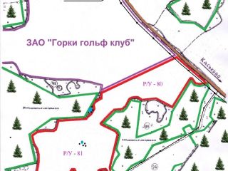 Продаю зем участок асфальтная дорога в садовом некоммерческом товариществе фото 4 Д. Горки, Лопухинское сельское поселение