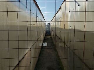 Продается дача косметический ремонт в садовом некоммерческом товариществе металлические ворота фото 5 Лермонтов