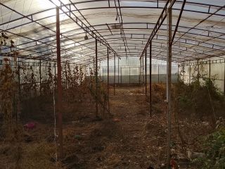 Продается дача косметический ремонт в садовом некоммерческом товариществе металлические ворота фото 7 Лермонтов