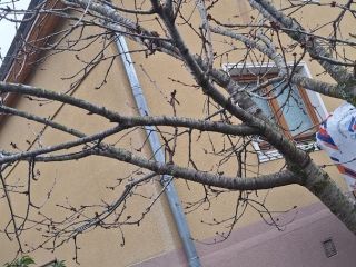 Продаю блочный дом косметический ремонт фото Сочи