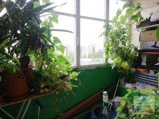 Продаю трехкомнатную квартиру круглогодичный подъезд асфальтная дорога фото 8 Переславль-Залесский