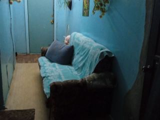 Продается двухкомнатная квартира взрослый собственник с коммуникациями фото 15 Переславль-Залесский