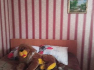 Продам деревянный дом косметический ремонт под индивидуальное жилищное строительство фото 3 Сочи