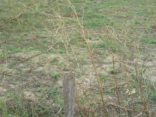 Продается участок земли документы в полном порядке с коммуникациями фото 3 Анапа