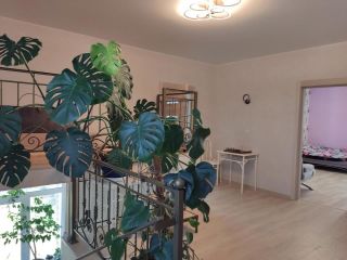 Продается кирпичный коттедж с плодоносящим садом с коммуникациями фото 16 Село Кафтанчиково