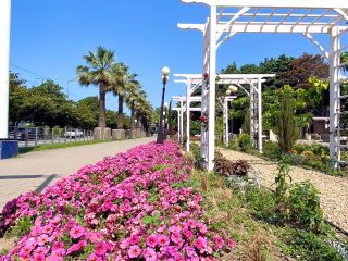 Продам студию ремонт по западным стандартам посуточная аренда с мебелью фото 24 Сочи