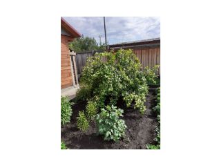 Сдам деревянный дом косметический ремонт на длительный срок есть баня фото 23 Лесосибирск