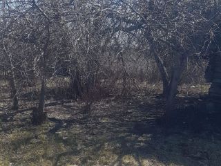 Продается зем участок есть документы фото 3 Д. Голубинка