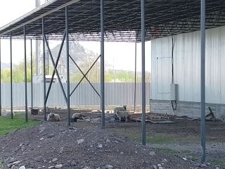 Продаю склад косметический ремонт подключена канализация есть электричество фото 6 Лермонтов