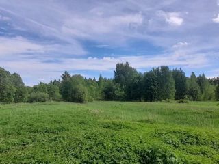 Продам земельный участок под индивидуальное жилищное строительство фото 5 Кимры