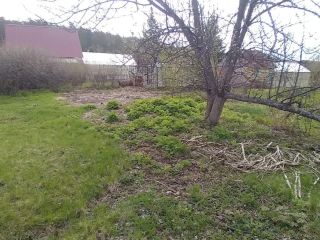 Продаю земельный участок в садовом некоммерческом товариществе имеется охрана фото 3 Верхний Уфалей