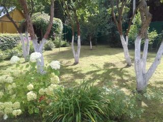 Продам деревянный дом с плодоносящим садом рядом асфальт фото 3 Д.Шапкино СНТ Отдых