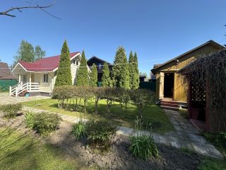 Продам деревянный дом с плодоносящим садом рядом асфальт фото 20 Д.Шапкино СНТ Отдых