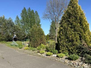 Продам деревянный дом с плодоносящим садом рядом асфальт фото 31 Д.Шапкино СНТ Отдых