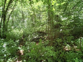 Продаю зем участок под личное подсобное хозяйство под индивидуальное жилищное строительство фото 4 Сочи