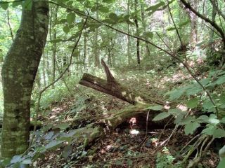 Продаю зем участок под личное подсобное хозяйство под индивидуальное жилищное строительство фото 5 Сочи