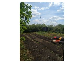 Сдам деревянный дом косметический ремонт есть баня имеется скважина фото 10 Село Чемодановка