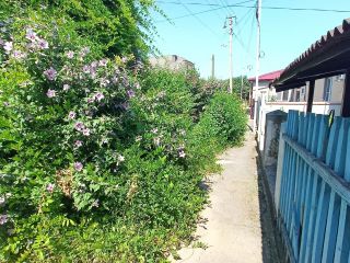 Продам двухкомнатную квартиру установлены пластиковые окна фото 2 Нальчик