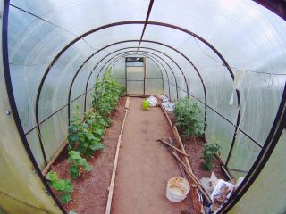 Продаю деревянный дом необходим косметический ремонт есть баня с мебелью фото 37 Рогачево