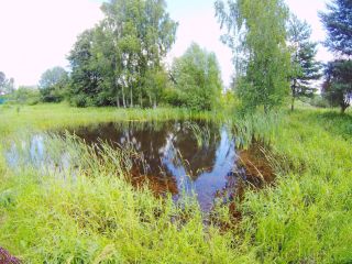 Продаю деревянный дом необходим косметический ремонт есть баня с мебелью фото 42 Рогачево